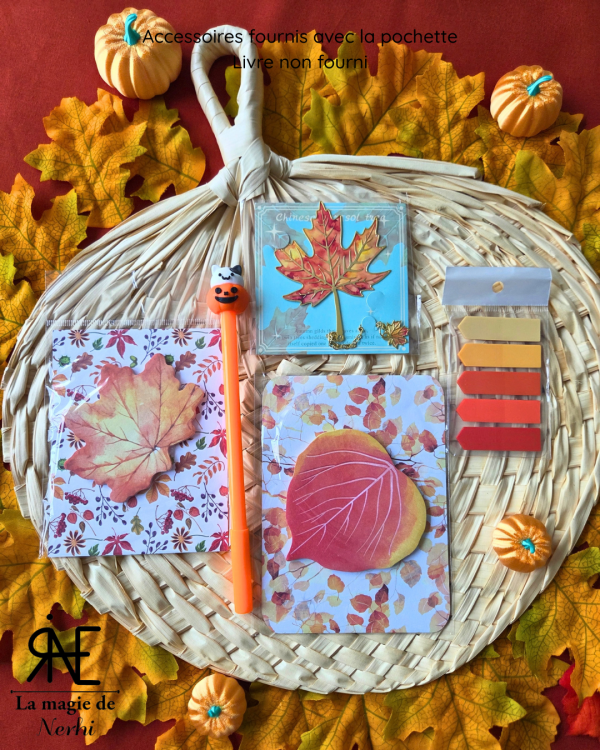 Pochette pour Livre de Poche